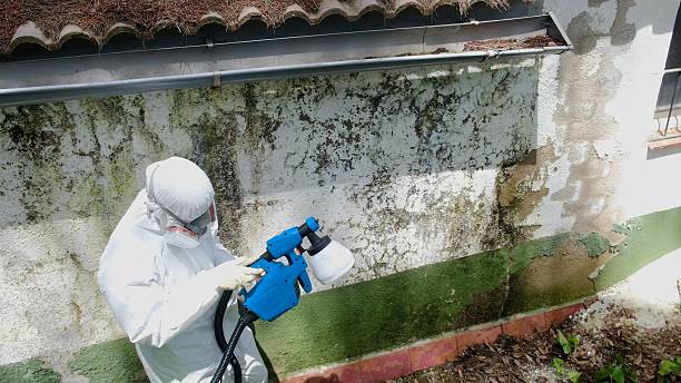 Trusted Mold Remediation service in Tualatin, OR - Cheap Mold Removal